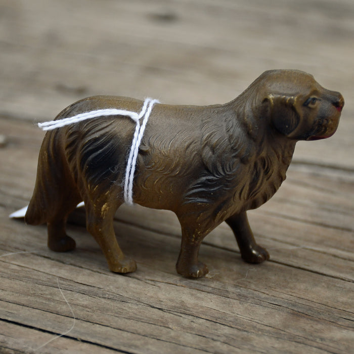 celluloid dog