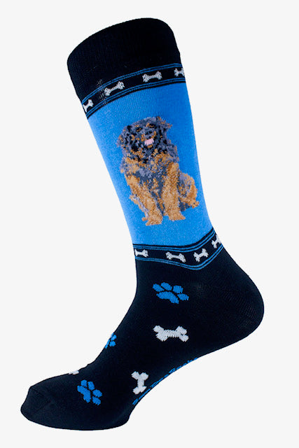Leo socks for men - signature
