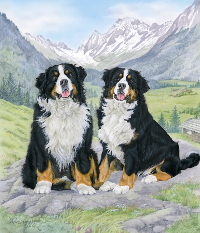 2 Berners - 672 piece puzzle