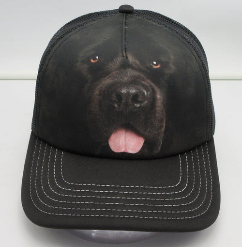 Adult Trucker Hat - Newfoundland