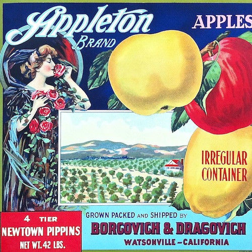 APPLETON APPLES Fruit Crate Box Label 1915