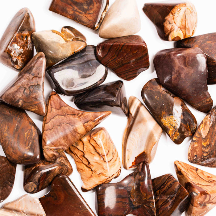 Biggs Jasper, Intuitive Picks - Earth Love Gallery Collection