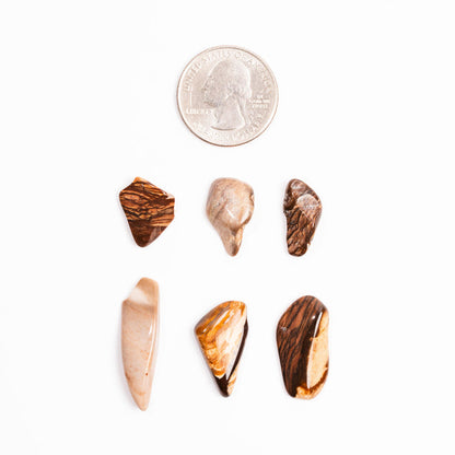 Biggs Jasper, Intuitive Picks - Earth Love Gallery Collection