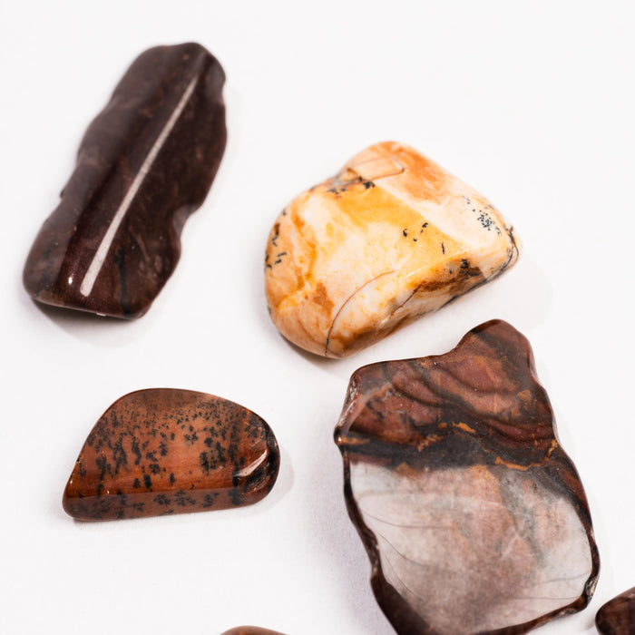 Biggs Jasper, Intuitive Picks - Earth Love Gallery Collection