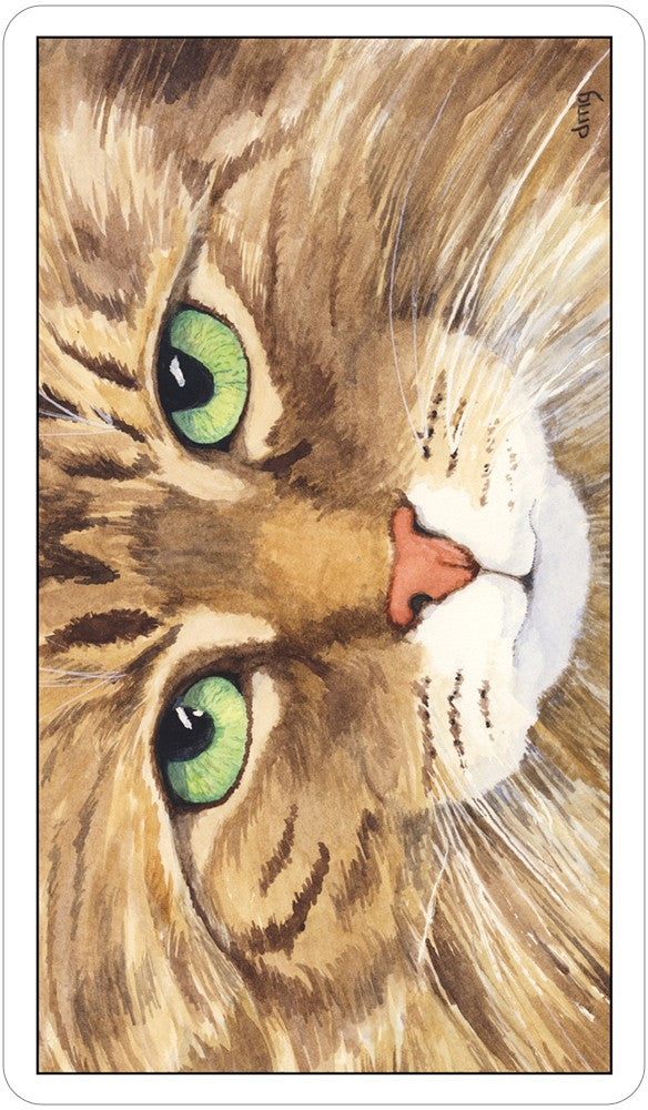 Cats Eye Tarot