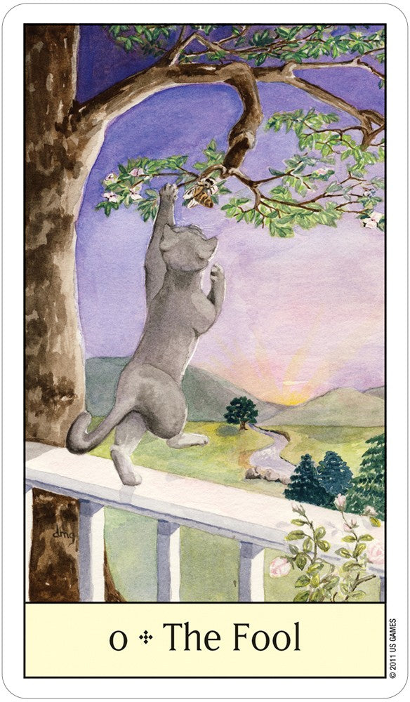 Cats Eye Tarot