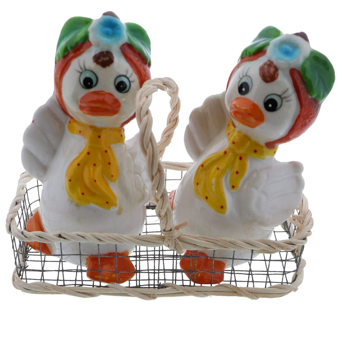 duck with pumpkin hat salt and pepper shakers