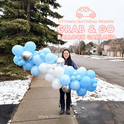 Ottawa Balloon Garland Grab and Go - Custom Balloon Garland - Ottawa Gatineau Region Balloon Decoration - Pick Your Colours