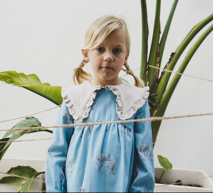 Elephanta Girl Dress