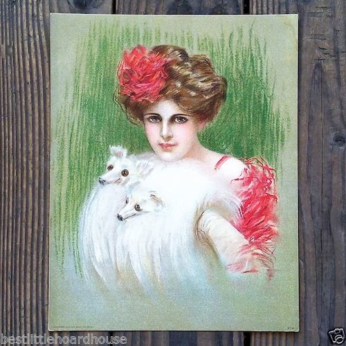 FOX FUR Victorian Stone Lithograph Print from 1910