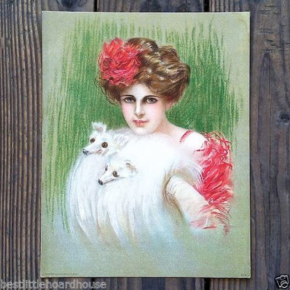 FOX FUR Victorian Stone Lithograph Print from 1910