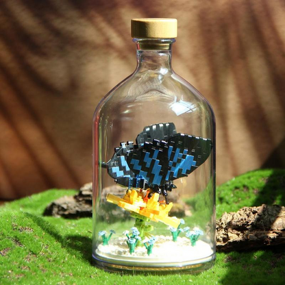butterfly