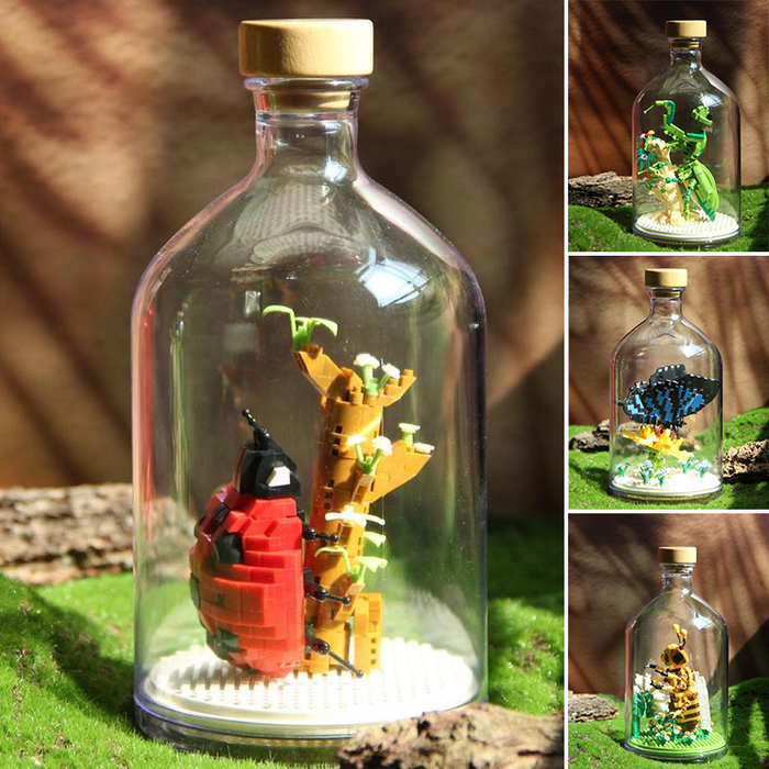 Insect Collection Building Blocks with Glass Display Bottle