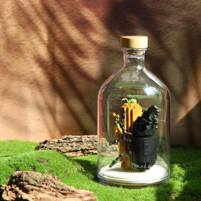 Rhinoceros beetle