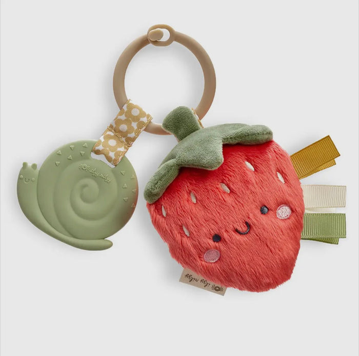 Itzy Pal Plush Teethers - 260 Broadway Boutique