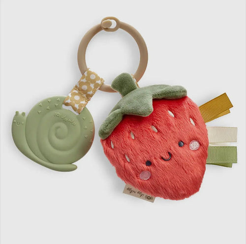 Itzy Pal Plush Teethers - 260 Broadway Boutique