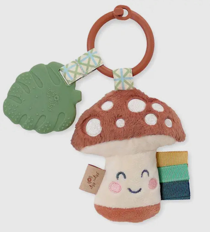 Itzy Pal Plush Teethers - 260 Broadway Boutique