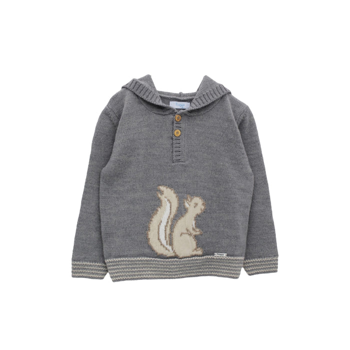 Jamie Grey Squirrel Sweater/Hoodie