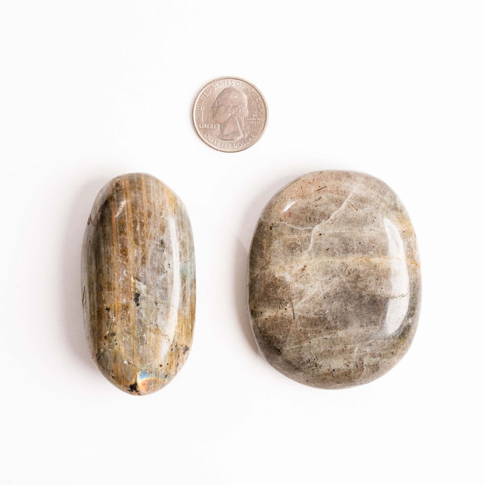 L