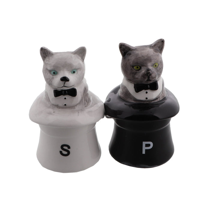 magician salt and pepper shakers
