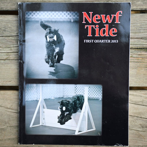 Newf Tide First Quarter 2013