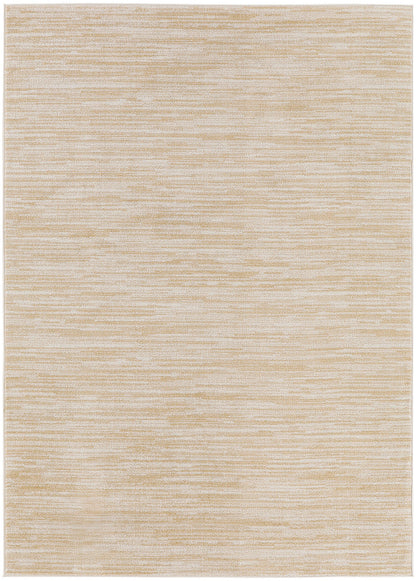 4' x 6'