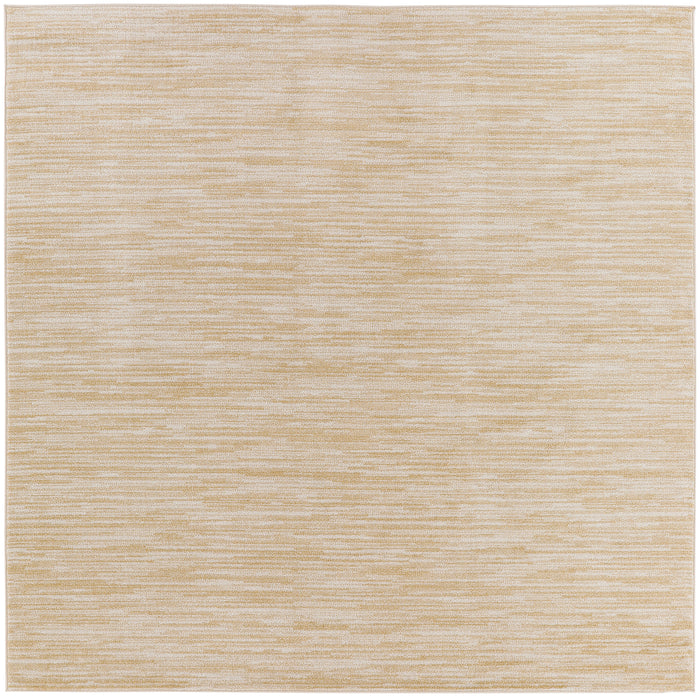 5' x Square