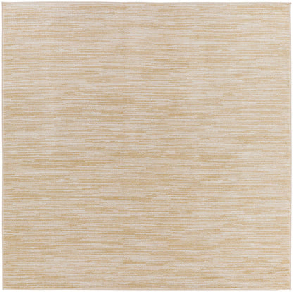 5' x Square