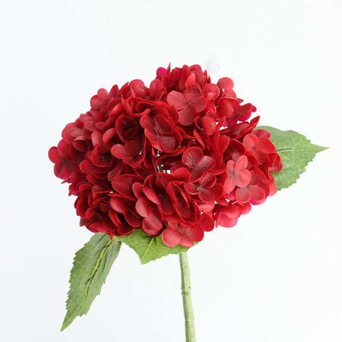 NEW-RED