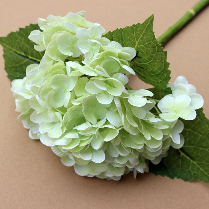 LIGHT GREEN
