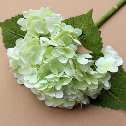 LIGHT GREEN