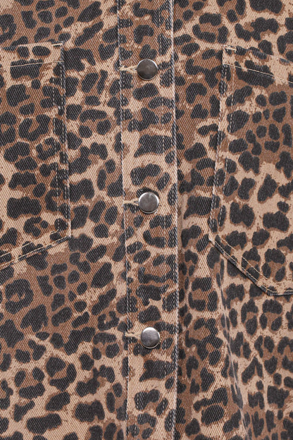 Elias Shacket - Leopard