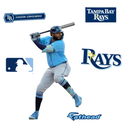 Rays Fathead Junior Caminero 5x7in Vinyl Decals