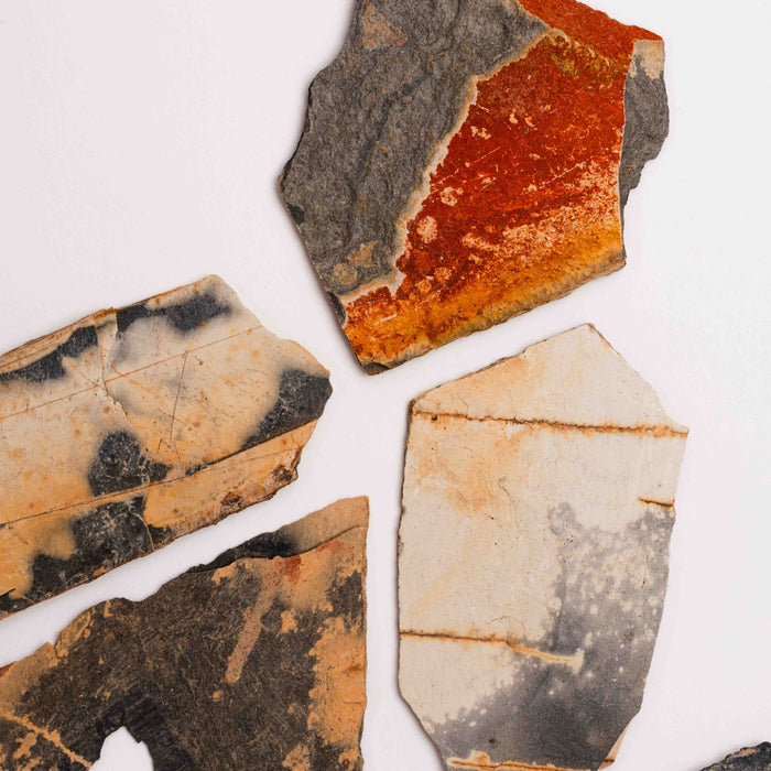 Slaty Shale Record, Intuitive Picks - Earth Love Gallery Collection