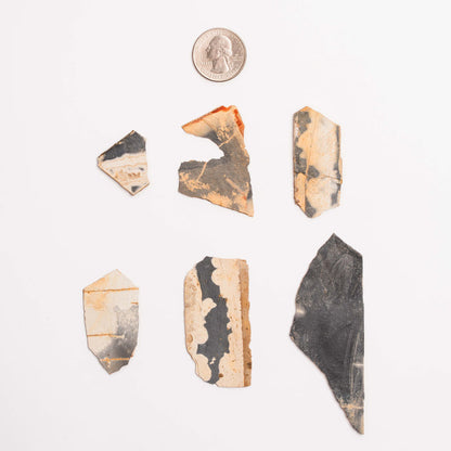 Slaty Shale Record, Intuitive Picks - Earth Love Gallery Collection