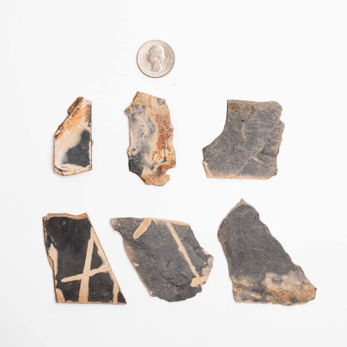 Slaty Shale Record, Intuitive Picks - Earth Love Gallery Collection