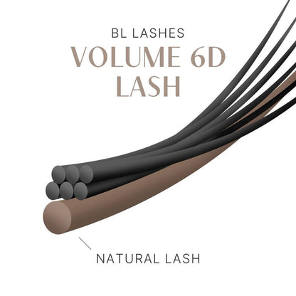 Volume 6D Lash